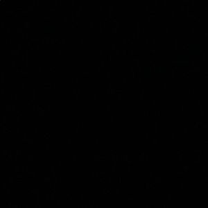 Meet your Posher, Jesus